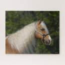 Search for palomino horse puzzles Breed