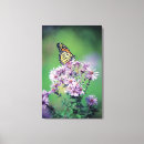 Search for monarch canvas prints Photography