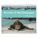 Search for galapagos calendars Iguana