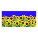 Search for horizontal rack cards Flag