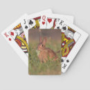 Search for rabbit playing cards Nature