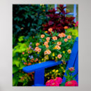 Search for blue zinnia posters Garden