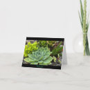 Search for succulent thank you cards Cactus