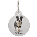 Search for pups pet supplies Dogs