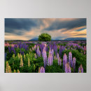 Search for flower fields posters Springtime