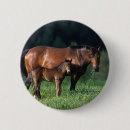 Search for maree badges Thoroughbred