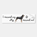 Search for black dog bumper stickers Black and tan