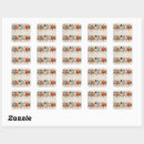 Search for birds finch stickers Sparrow