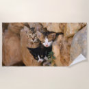 Search for photo beach towels Funny