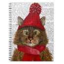 Search for maine coon office school Animals