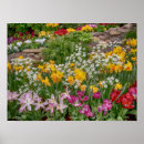 Search for easter flowers posters Nature