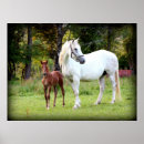 Search for cheval art Equine