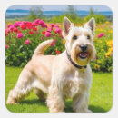 Search for wheaten terrier stickers Scottish