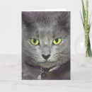 Search for kitty face cards Funny