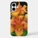 Search for daylily iphone cases Lilies