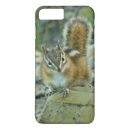 Search for chipmunk iphone cases Wildlife