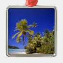 Search for pacific christmas tree decorations Sand