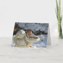 Search for finches cards Winter