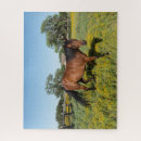 Search for horse puzzles Farm