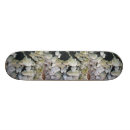 Search for mushroom skateboards Fungus