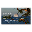 Search for sails business cards Sunset