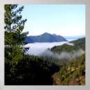 Search for mists posters Forest