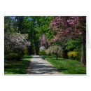 Search for cherry tree cards Garden
