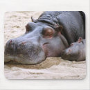 Search for hippo mousepads Animal