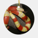 Search for snake christmas tree decorations Reptile