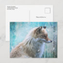 Search for grunge postcards Nature