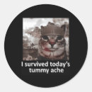 Search for tummy stickers Kitten