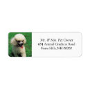 Search for white poodle return address labels Animal