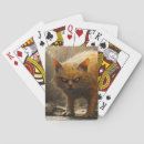 Search for predator playing cards Cat