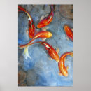 Search for koi pond posters Swimming