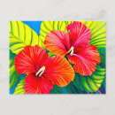 Search for hibiscus flower postcards Nature