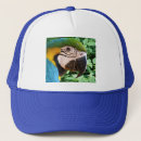 Search for macaw hats Parrot