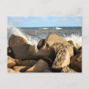 Search for galveston postcards Beach