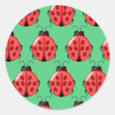 Search for red ladybug stickers Insects
