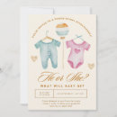 Search for holiday gender reveal Boy or girl