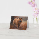 Search for chow chow cards Pet