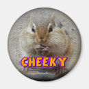 Search for silly magnets Funny animals