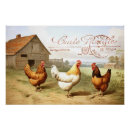 Search for chicken hens posters Farmhouse