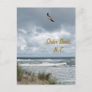 Search for outer postcards Ocean