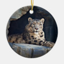 Search for spots christmas tree decorations Big cat