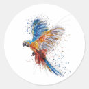 Search for parrots stickers Watercolor