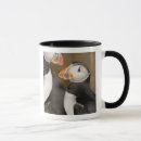 Search for pelage mugs Ralph h bendjebar