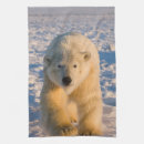 Search for alaska placemats North america
