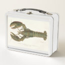 Search for box fish Lobster