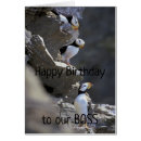 Search for boss invitations Happy