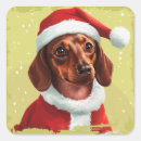Search for dachshunds stickers Fun